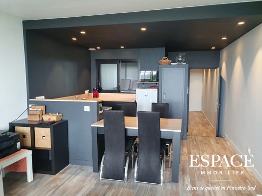 Concarneau vue mer appartement contemporain 2 pièce(s) 46.47 m2 en rez de jardin