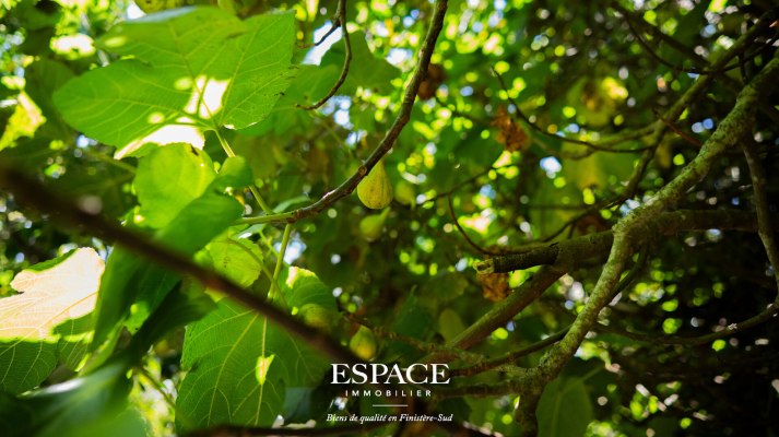 A vendre à Trégunc près des plages - charme breton - pierres anciennes et jardin paysager de 4 320 m²