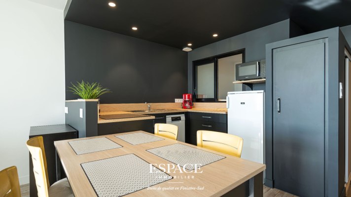 A vendre à Concarneau vue mer appartement contemporain 2 pièce(s) 46.47 m2 en rez de jardin