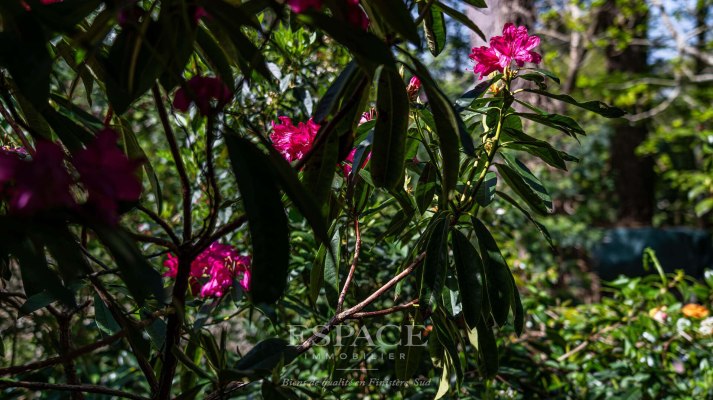 A vendre à Trégunc - un écrin de nature à deux pas de l'océan