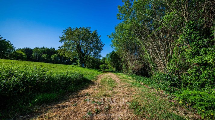 A vendre à Fouesnant : grand terrain de 2 600 m2 hors lotissement, entre verdure et littoral