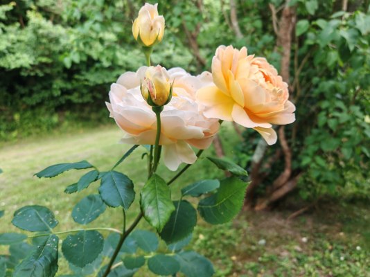 Charme authentique et art de vivre au coeur  à Fouesnant